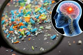 Do microplastics mess up our minds?